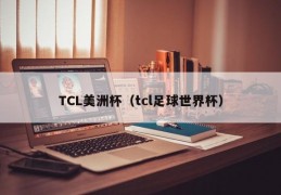 TCL美洲杯（tcl足球世界杯）