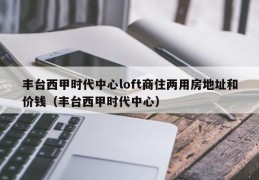 丰台西甲时代中心loft商住两用房地址和价钱（丰台西甲时代中心）